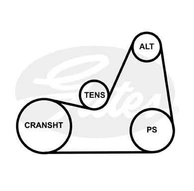GATES 5PK1113 Ремень генератора