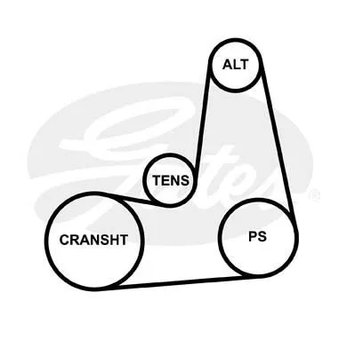 GATES 5PK1113 Ремень генератора
