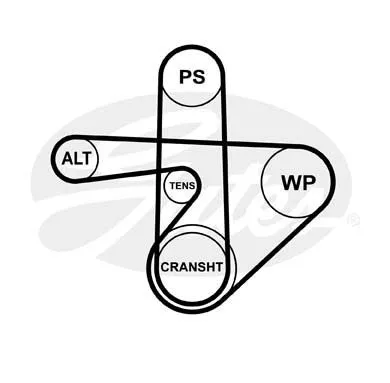 GATES 6PK1183 Ремень генератора