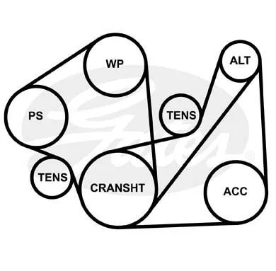 GATES 5PK1013 Ремень генератора