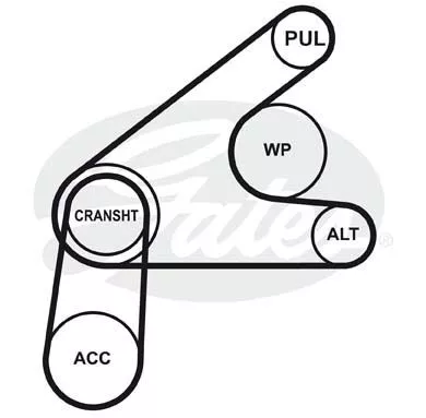 GATES 6PK1249SF Ремень генератора