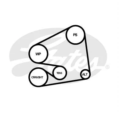 GATES 6PK1650 Ремінь генератора