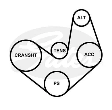 GATES 6PK1183 Ремень генератора