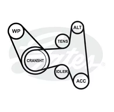 GATES 6PK1488 Ремінь генератора