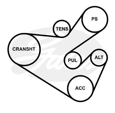 GATES 7PK1793 Ремень генератора