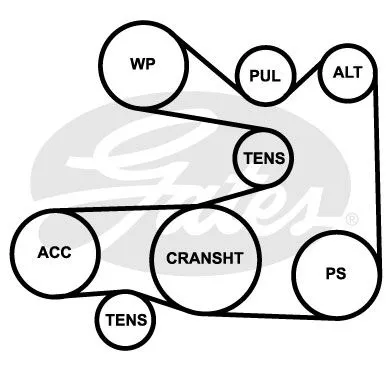 GATES 5PK948 Ремінь генератора
