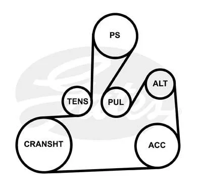 GATES 5PK1750 Ремень генератора