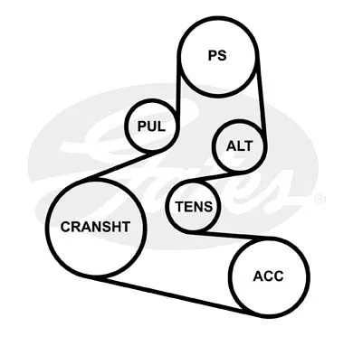 GATES 6PK1565 Ремень генератора