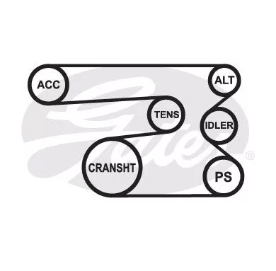 GATES K080702 Ремень генератора