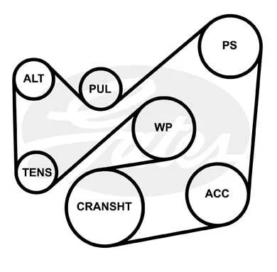 GATES 6PK2305 Ремінь генератора