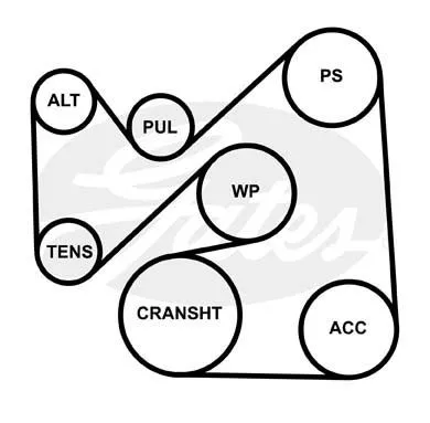 GATES 6PK2305 Ремінь генератора