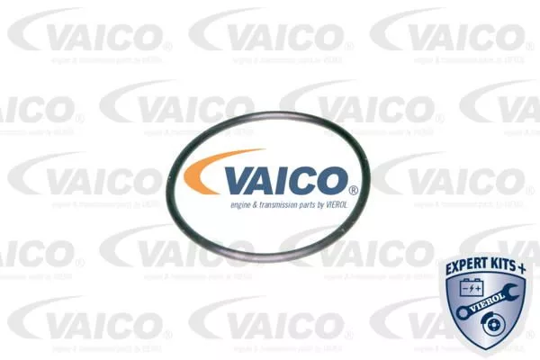 Vaico V10-0440 Фильтр масляный АКПП