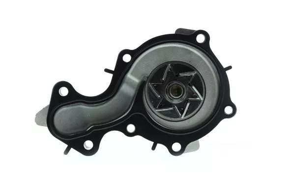 Aisin WE-FO05 Помпа